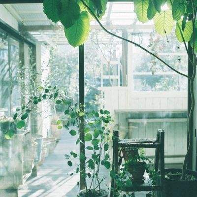 49图库一资料中心手机app下载