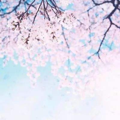 AOA体育下载手机版